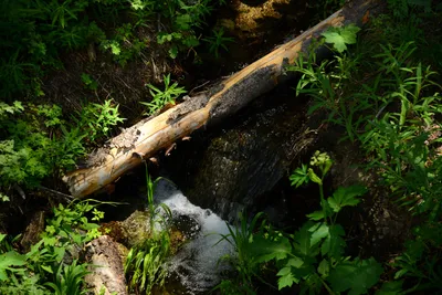 DSC_0030 (Large).JPG